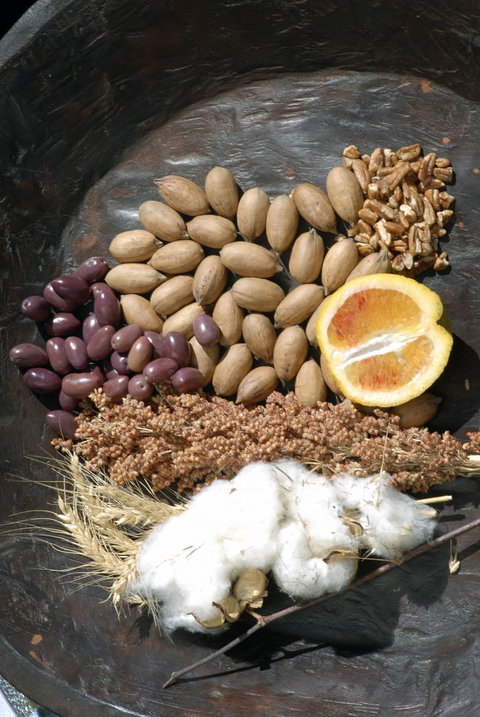 ODempseys Charters And Tours - Australia Shopping 2