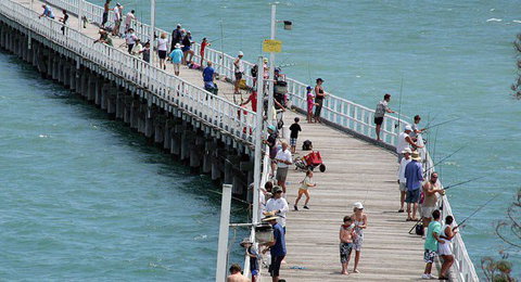 Fraser Coast Amazing Fishing Trails - Local Tourism 27