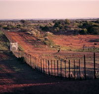 Tri State Safaris - Accommodation Australia