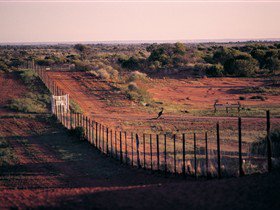 Tri State Safaris - Accommodation Australia 1