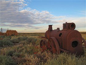 Tri State Safaris - Accommodation Australia 11
