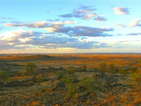 Tri State Safaris - Accommodation Australia 13