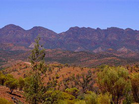 Tri State Safaris - Accommodation Australia 17