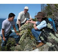 Sapphire Coast Ecotours - Local Tourism