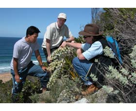 Sapphire Coast Ecotours - Accommodation Australia 1