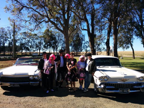 Hunter Valley Cadillacs - Local Tourism 1