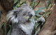 Oceania Tours And Safaris - thumb 5