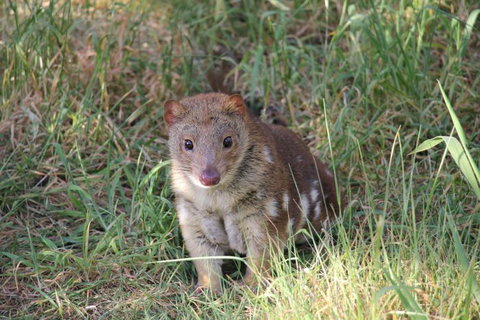 Oceania Tours And Safaris - Accommodation Australia 7