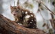 Oceania Tours And Safaris - thumb 24