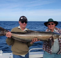 Reel Time Charters Yamba - Accommodation Australia