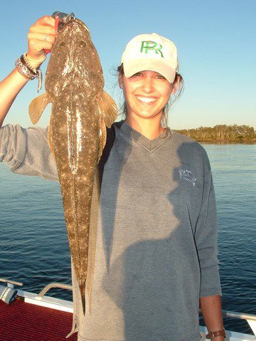 Reel Time Charters Yamba - Accommodation Australia 1