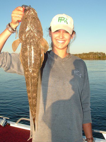 Reel Time Charters Yamba - Accommodation Australia 2