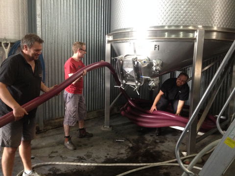 La Prova Wines - Accommodation Australia 2