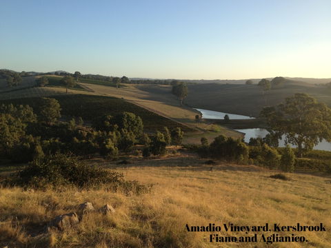La Prova Wines - Accommodation Australia 3