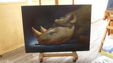 Art On Pallas - Accommodation Australia 0