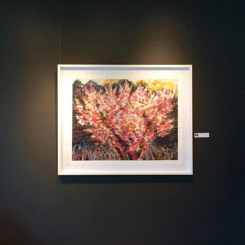 Gallery One - Accommodation Australia 1