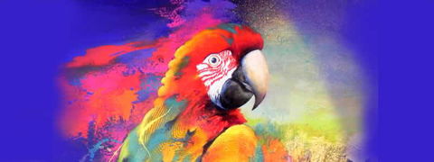 Tina Cooper Gallery - Local Tourism 2