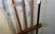 Montville Woods Gallery - thumb 2