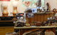 Montville Woods Gallery - thumb 3