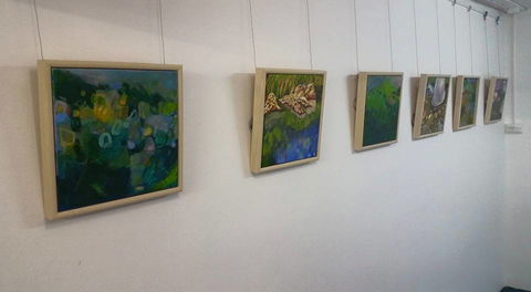 Art Arena Gallery Inc - Accommodation Australia 2