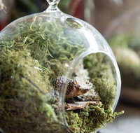 Moxom and Whitney - Accommodation Australia