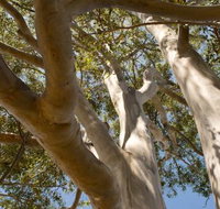 Lindsay Pryor Walk Australian National University - Accommodation Australia