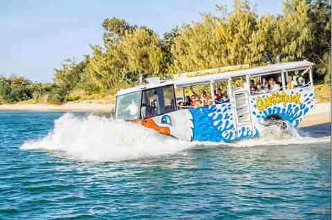 Quackr Duck - Local Tourism 1