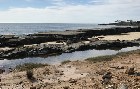 Yamba Tours And Charters - Accommodation Australia 0