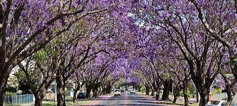 Yamba Tours And Charters - Accommodation Australia 6
