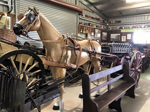 Yamba Tours And Charters - Accommodation Australia 9