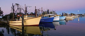 Yamba Tours And Charters - Accommodation Australia 14