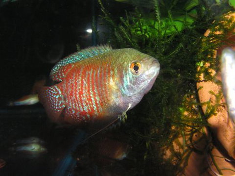 River To Reef Aquarium - Local Tourism 4