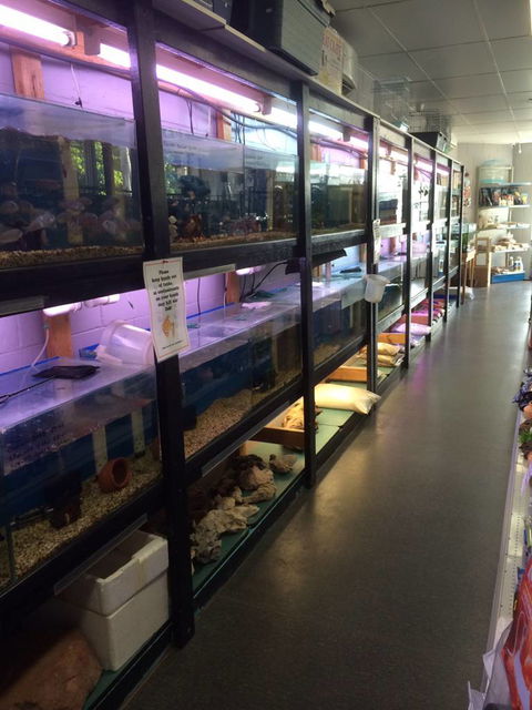 Nambour Pet Shop - Local Tourism 1