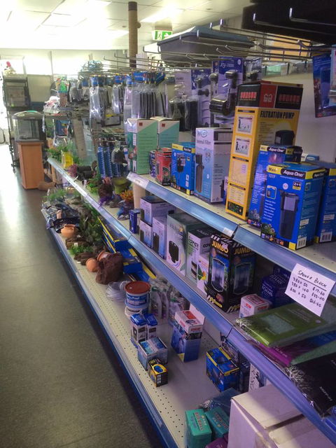 Nambour Pet Shop - Local Tourism 2