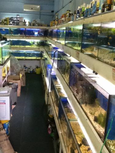 Clearwater Aquariums - Accommodation Australia 0