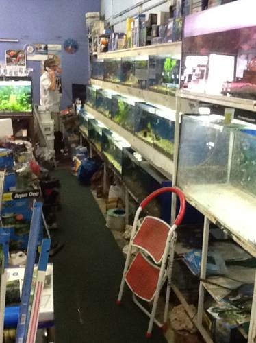 Clearwater Aquariums - Accommodation Australia 1