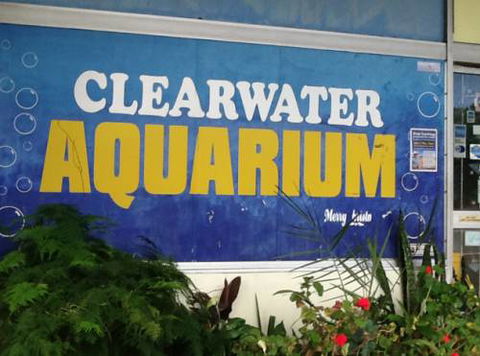 Clearwater Aquariums - Accommodation Australia 2