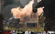 Action Paintball Games Yarramundi - thumb 1