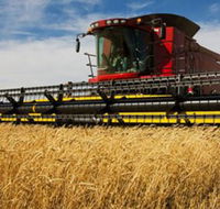 Quirindi Grain and produce - Australia Shopping