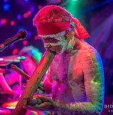 Didgeridoo Jam In The Park - Local Tourism 1