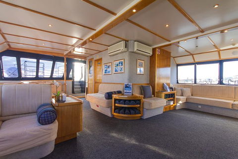 Blue Whale Perth Canyon Expedition - Accommodation Australia 4