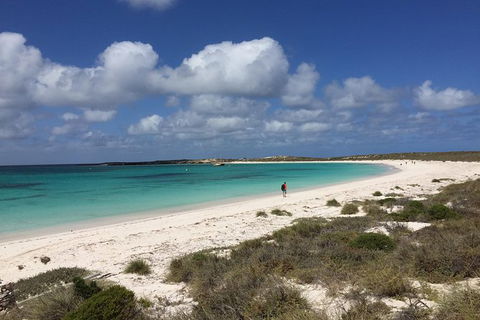 Abrolhos Island Half Day Fly And Flipper - Accommodation Australia 0