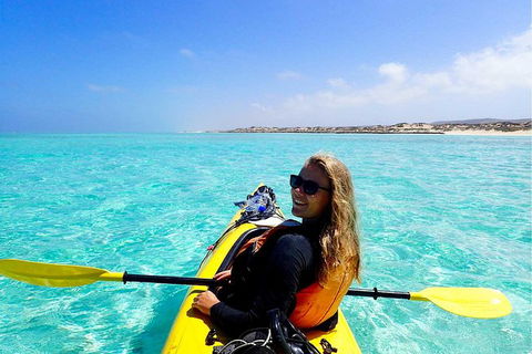 Lagoon Explorer - Ningaloo Reef Full-Day Kayaking And Snorkeling Adventure - Accommodation Australia 2