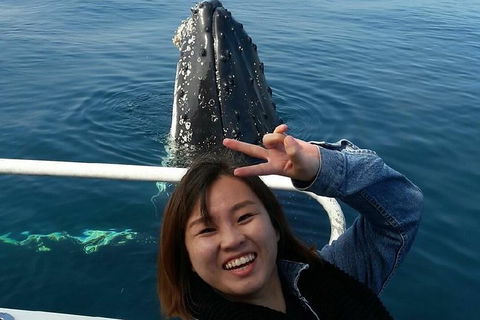 Whale Watching Dunsborough - Australia Shopping 1