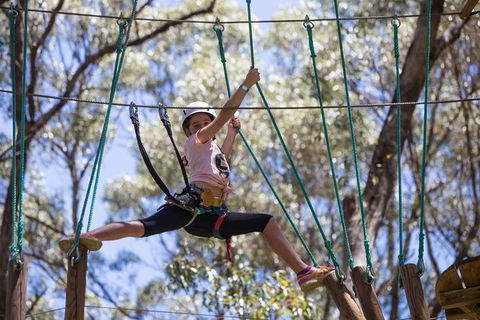 Busselton High Ropes And Zipline Adventure - Bed n Breakfasts 1