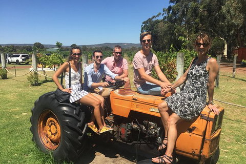 Half Day Swan Valley Wine Tour - Bed n Breakfasts 6