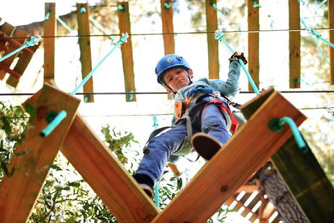 Trees Adventure Lane Poole Park - Treetop & Zipline Experience - Accommodation Australia 1