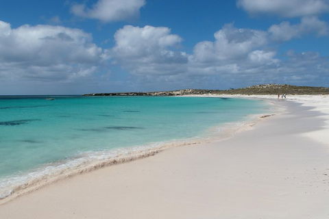 Pink Lake And Abrolhos Full Day Fly And Flipper - Local Tourism 0