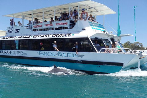 Mandurah Dolphin And Scenic Marine Cruise - Accommodation Australia 1