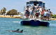 Mandurah Dolphin And Scenic Marine Cruise - thumb 0